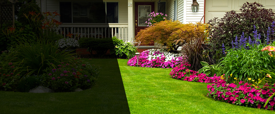 Colonia Landscapers