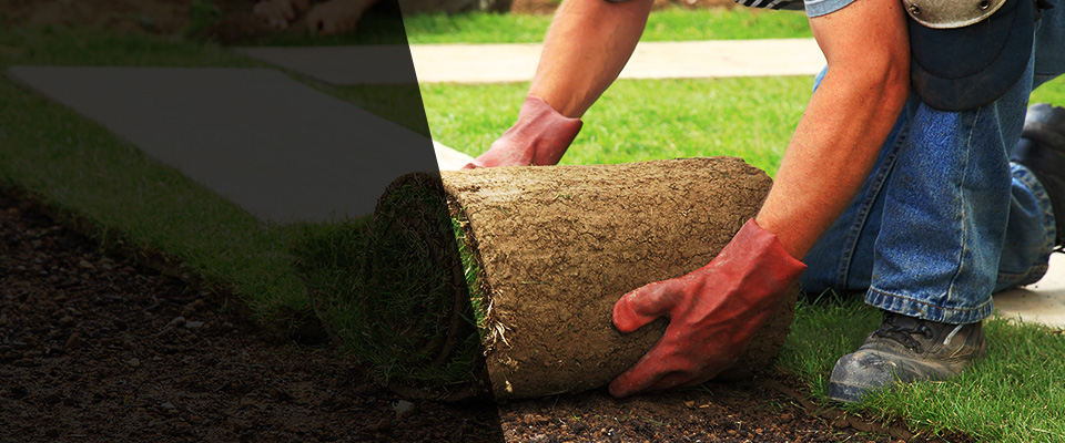 Colonia Landscapers